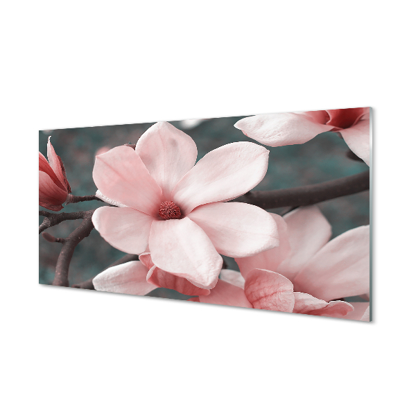 Kitchen Splashback pink flowers