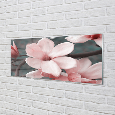 Kitchen Splashback pink flowers