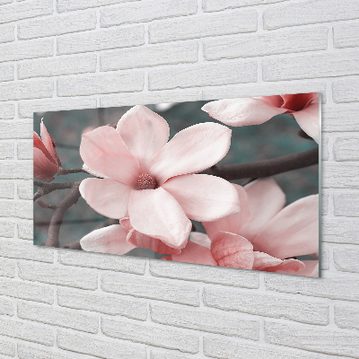 Kitchen Splashback pink flowers