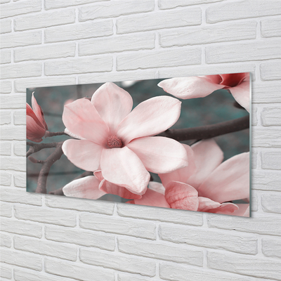 Kitchen Splashback pink flowers