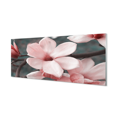 Kitchen Splashback pink flowers