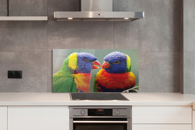 Kitchen Splashback colorful parrot