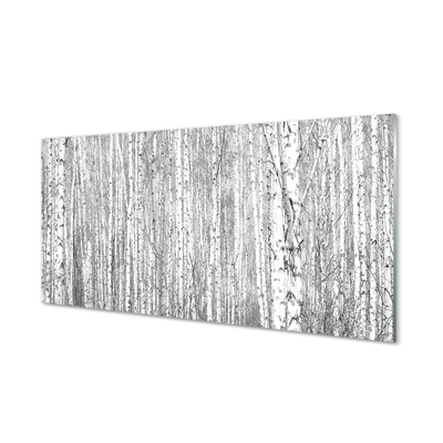 Kitchen Splashback Black and white forest