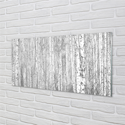 Kitchen Splashback Black and white forest