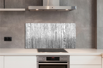 Kitchen Splashback Black and white forest