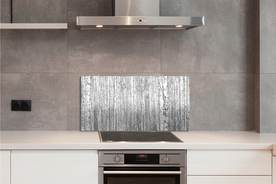 Kitchen Splashback Black and white forest