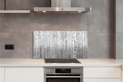 Kitchen Splashback Black and white forest