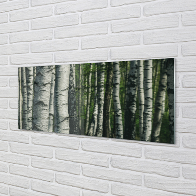 Kitchen Splashback birch forest