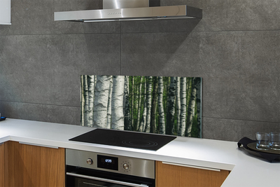 Kitchen Splashback birch forest