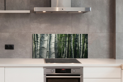 Kitchen Splashback birch forest