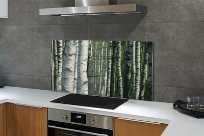 Kitchen Splashback birch forest