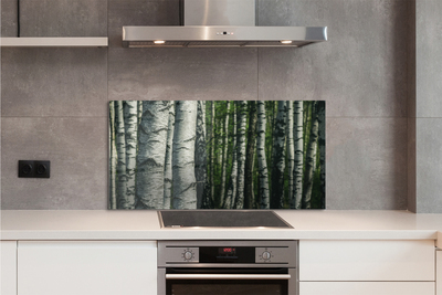 Kitchen Splashback birch forest