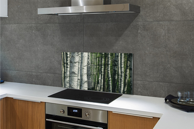 Kitchen Splashback birch forest