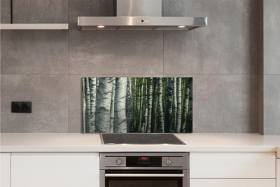 Kitchen Splashback birch forest