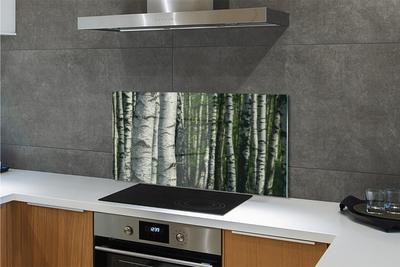 Kitchen Splashback birch forest