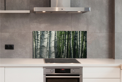 Kitchen Splashback birch forest