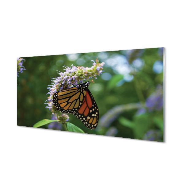 Kitchen Splashback Butterfly colored flowers