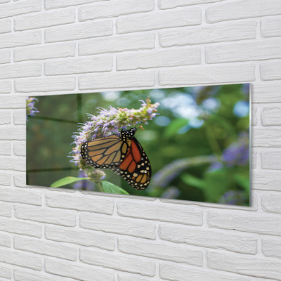 Kitchen Splashback Butterfly colored flowers