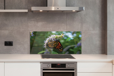 Kitchen Splashback Butterfly colored flowers