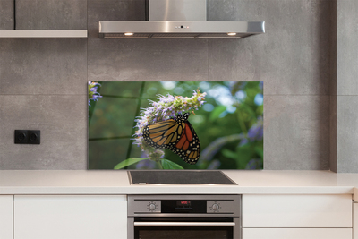 Kitchen Splashback Butterfly colored flowers