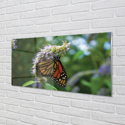 Kitchen Splashback Butterfly colored flowers