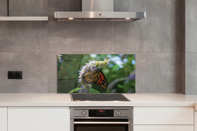 Kitchen Splashback Butterfly colored flowers