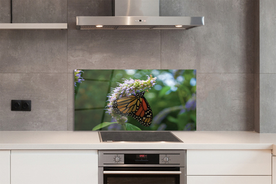 Kitchen Splashback Butterfly colored flowers