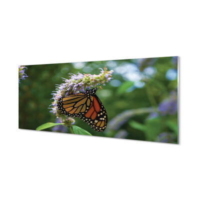 Kitchen Splashback Butterfly colored flowers