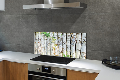 Kitchen Splashback birch leaves