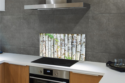 Kitchen Splashback birch leaves