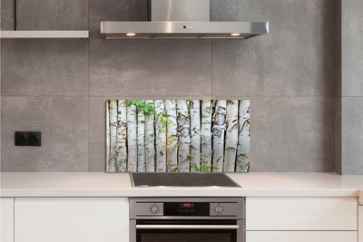 Kitchen Splashback birch leaves