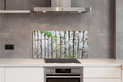 Kitchen Splashback birch leaves