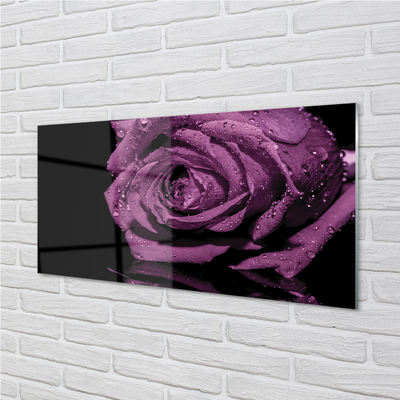 Kitchen Splashback Pink Purple