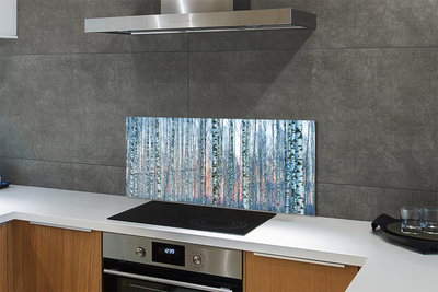 Kitchen Splashback Sunset the birch forest