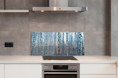 Kitchen Splashback Sunset the birch forest