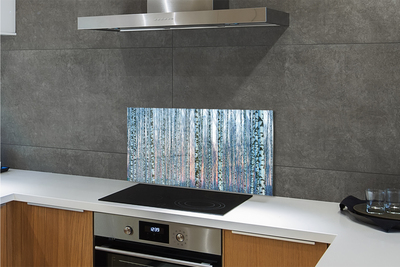 Kitchen Splashback Sunset the birch forest