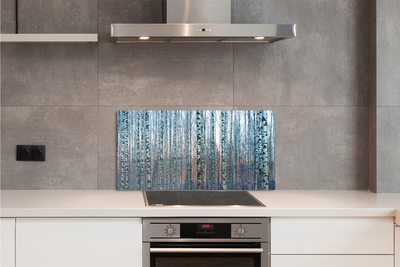 Kitchen Splashback Sunset the birch forest