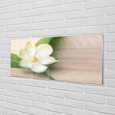 Kitchen Splashback white magnolia