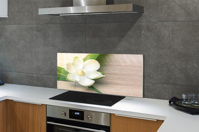 Kitchen Splashback white magnolia