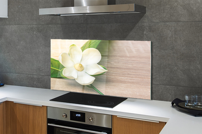 Kitchen Splashback white magnolia