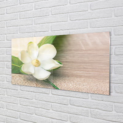 Kitchen Splashback white magnolia