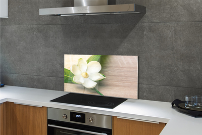 Kitchen Splashback white magnolia