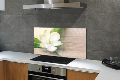 Kitchen Splashback white magnolia