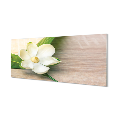 Kitchen Splashback white magnolia