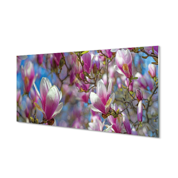 Kitchen Splashback magnolia