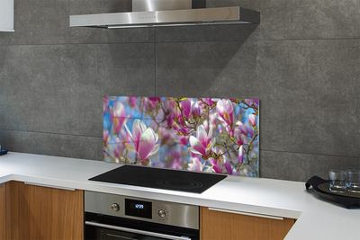 Kitchen Splashback magnolia