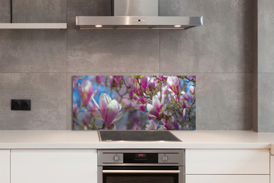 Kitchen Splashback magnolia