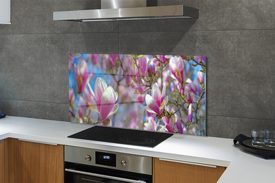 Kitchen Splashback magnolia