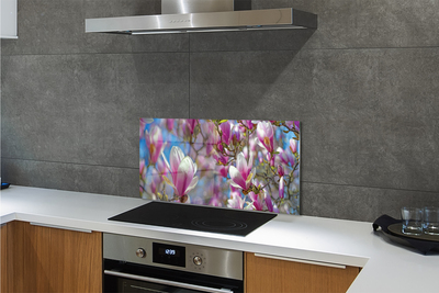 Kitchen Splashback magnolia