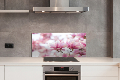 Kitchen Splashback magnolia